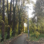 Осенняя тропа 3, фотоэтюд